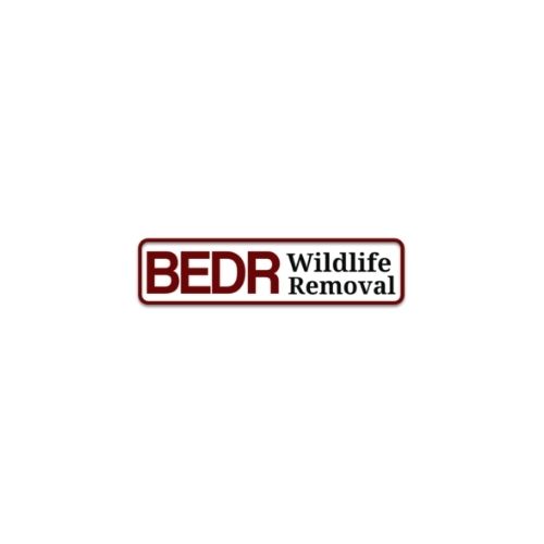 BEDR Wildlife Removal